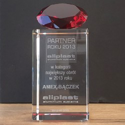 Aliplast Partner Roku 2013