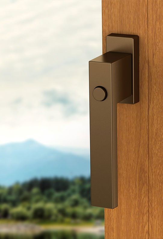 Window handle with a button